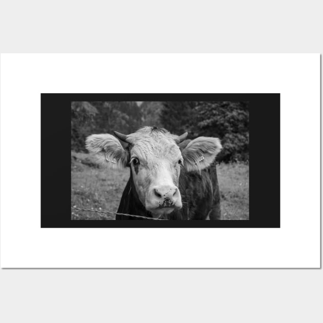 Swiss Cow 3 Wall Art by photosbyalexis